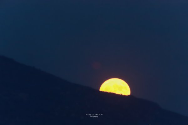 IMG_6871.jpg