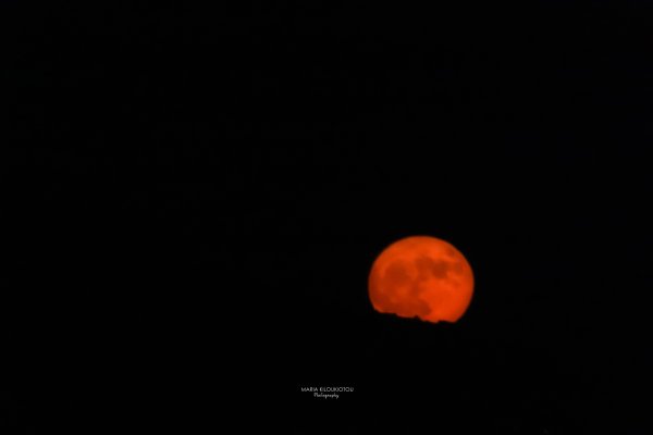IMG_6874.jpg