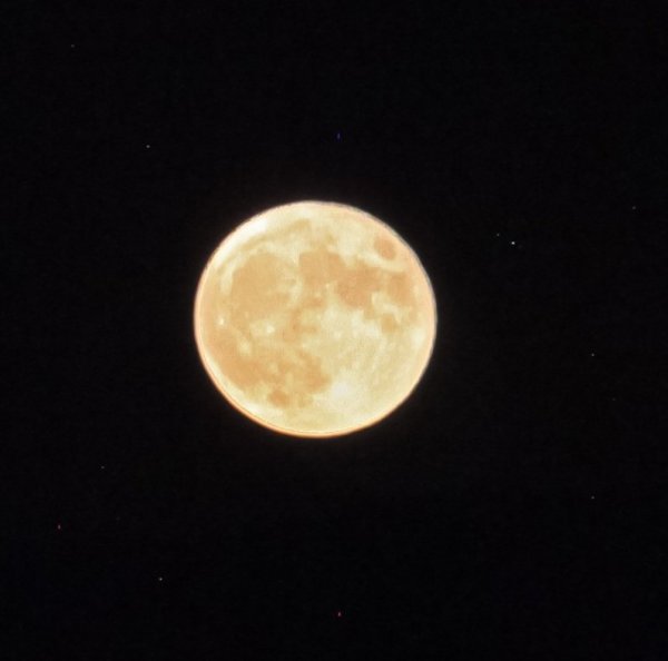 IMG_70381.jpg