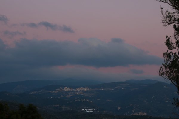 IMG_7441.jpg