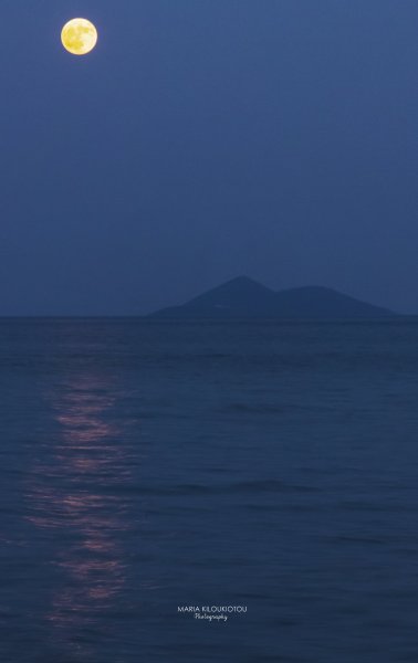 IMG_8252.jpg