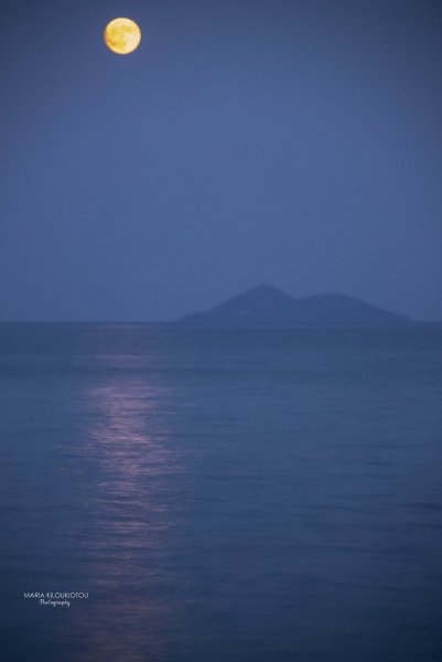 IMG_8256.jpg