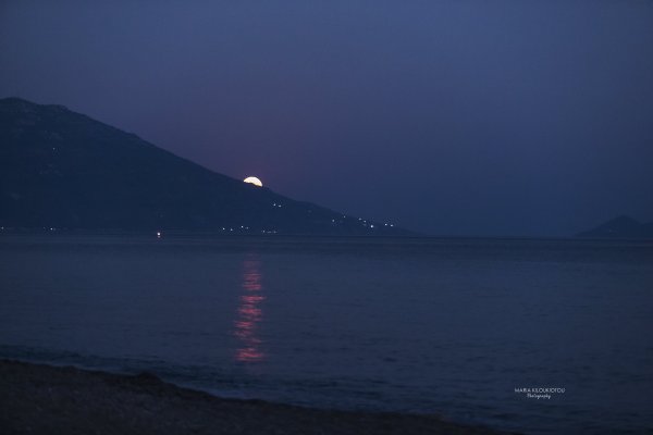 IMG_8276.jpg