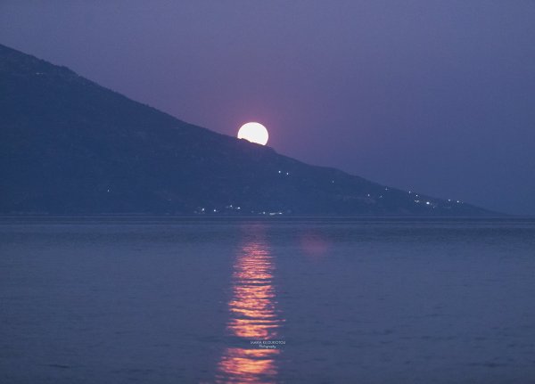 IMG_8277.jpg