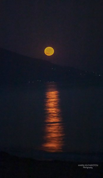 IMG_8285.jpg