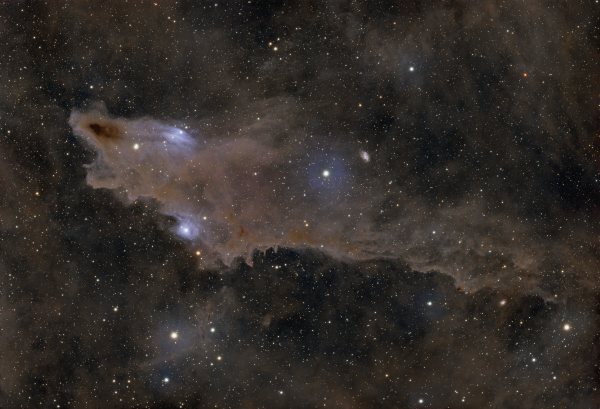LDN 1235 - Dark Shark Nebula
