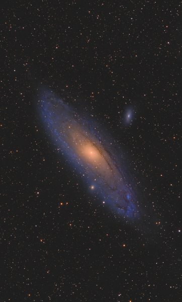 M31
