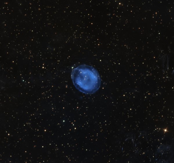 IC 1295