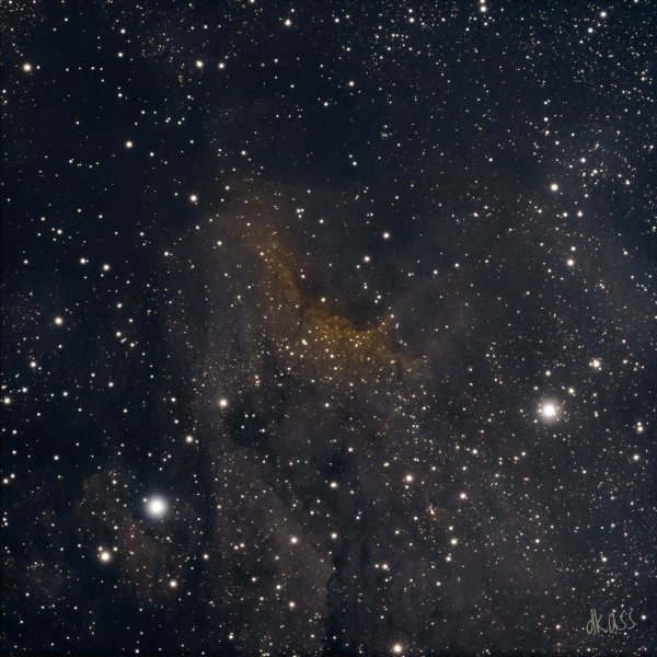 Pelican nebula