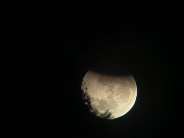 IMG_20260828_061707.jpg