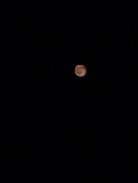 Moon.jpg