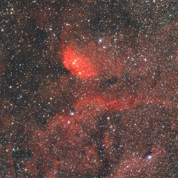 Sh2-101 - Tulip Nebula