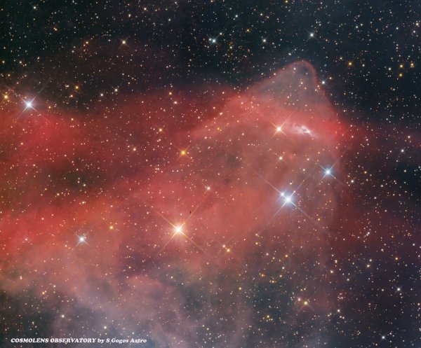 Gecko NEBULA LBN 437