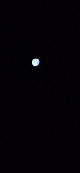20260830_040320.jpg