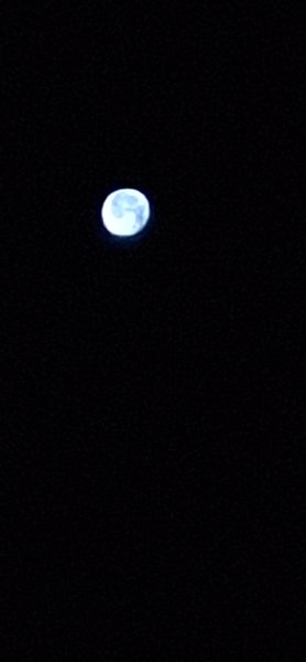 20260830_040341.jpg