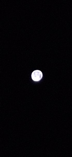 20260830_040357.jpg