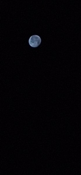 20260830_040516.jpg