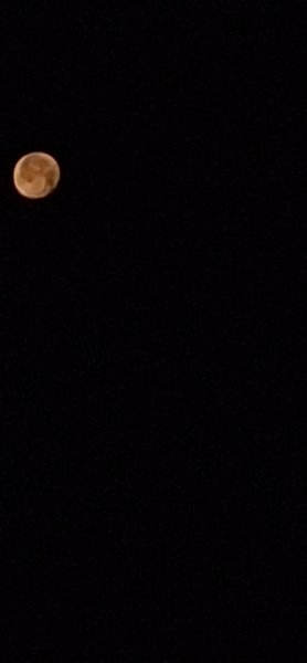 20260830_040531.jpg
