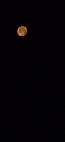 20260830_040534.jpg
