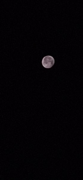 20260830_040539.jpg