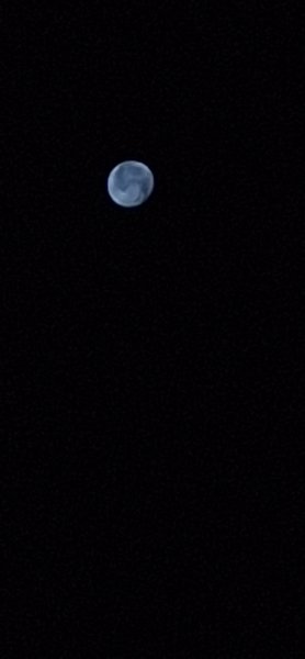 20260830_040541.jpg