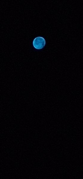 20260830_040543.jpg