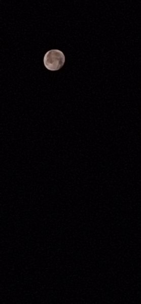 20260830_040545.jpg