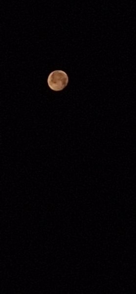 20260830_040547.jpg
