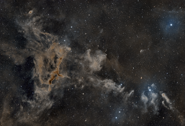 LDN 1295 - LBN 603 Giraffe Nebulla / wide field