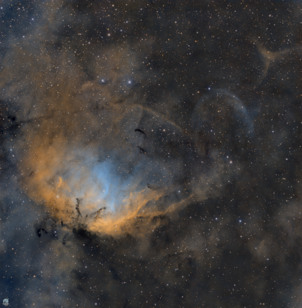 The cosmic flower and a bow shock